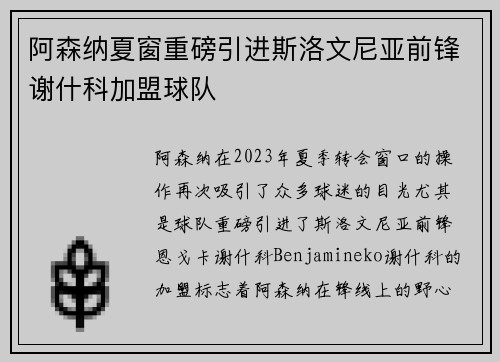 阿森纳夏窗重磅引进斯洛文尼亚前锋谢什科加盟球队
